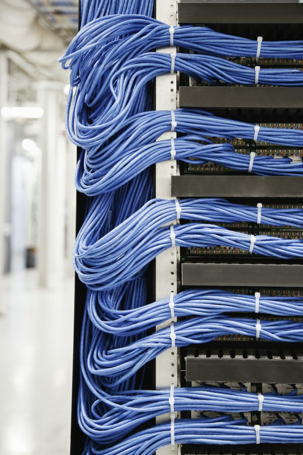 Cat 5 cables hooked to servers in a computer server farm.